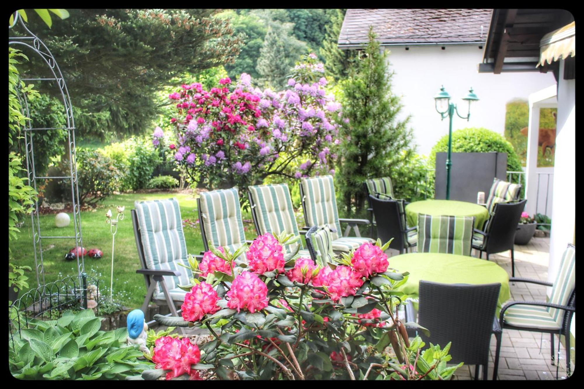 Pension Sonnenheim Winterberg Exteriér fotografie