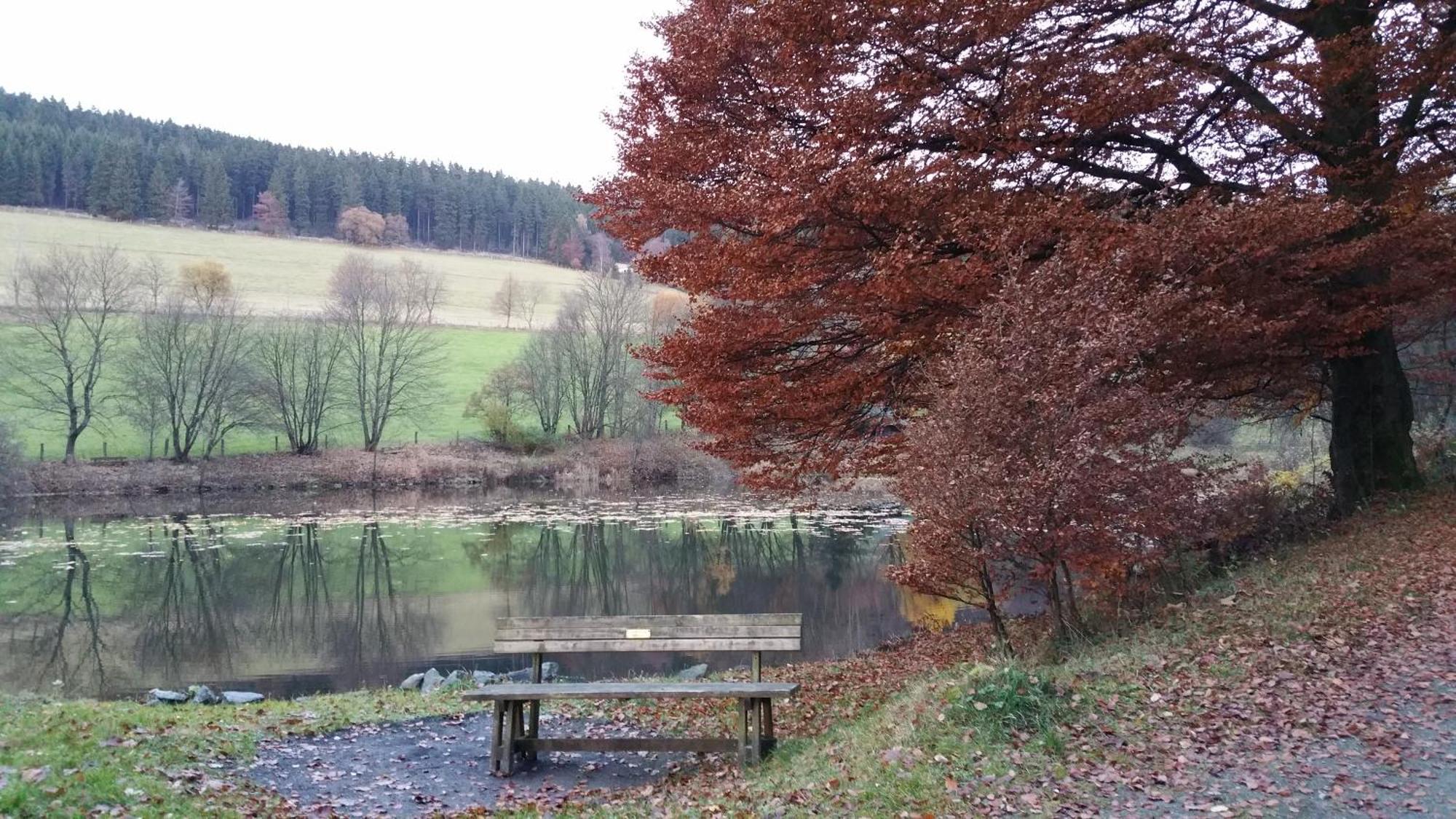 Pension Sonnenheim Winterberg Exteriér fotografie